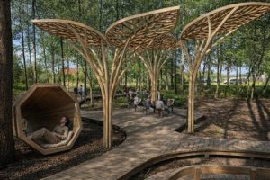 Zielona rewolucja w Rzeszowie? Nad Mikośką może powstać wyjątkowa strefa relaksu [WIZUALIZACJE]