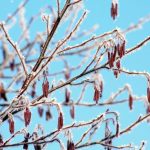 Zima przypomina o sobie w kwietniu. Nawet -6°C przy gruncie na Podkarpaciu