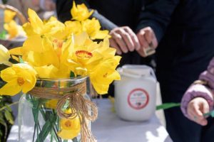 Żonkilowy Rzeszów. Niedzielny finał "Pól Nadziei" zgromadził setki wolontariuszy