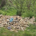 Biologiczna bomba w lesie. Ktoś podrzuca niebezpieczne odpady zwierzęce