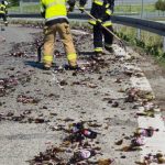 Chmielowa tragedia na autostradzie. Z ciężarówki wypadło piwo