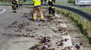 Chmielowa tragedia na autostradzie. Z ciężarówki wypadło piwo