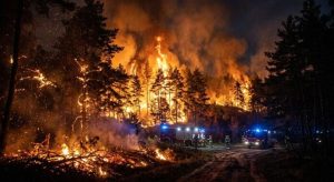 Gigantyczny pożar i katastrofa samolotu przy granicy z Podkarpaciem. Trwa walka z żywiołem [ZDJĘCIA]