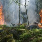 Piekło na poligonie. Ponad 50 hektarów lasu stanęło w ogniu