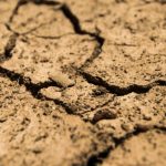 Susza hydrologiczna na Podkarpaciu staje się faktem. Wydano oficjalne ostrzeżenie