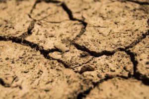 Susza hydrologiczna na Podkarpaciu staje się faktem. Wydano oficjalne ostrzeżenie