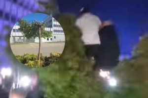 Szokująca sytuacja podczas Rzeszowskich Juwenaliów. Złamane drzewo i 300 interwencji policji [WIDEO]