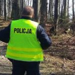 Tragedia na Podkarpaciu. 43-latek zginął podczas wycinki drzew