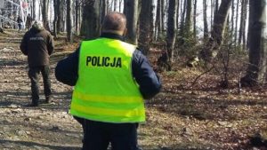 Tragedia na Podkarpaciu. 43-latek zginął podczas wycinki drzew