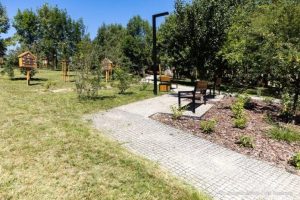 Tysiące roślin i nowoczesna architektura. Rzeszów ogłasza przetarg na nowy park