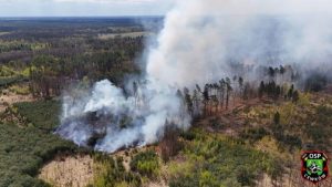 Wielki pożar lasu na Podkarpaciu. W akcji gaśniczej pomógł dron [ZDJĘCIA]