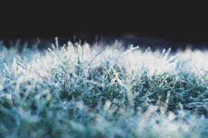 Zamiast letniego ciepła – minusowe temperatury. Podkarpacie w strefie alertów IMGW
