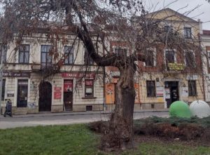 Drzewa w centrum Rzeszowa do wycinki. Ratusz tłumaczy decyzję zagrożeniem dla mieszkańców [ZDJĘCIA]