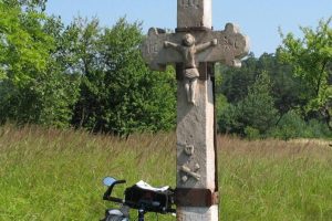 Ludzkie szczątki odkryte w lesie na Podkarpaciu. Przy nich znaleziono amunicję