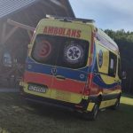 10-latek użądlony przez osę pod Rzeszowem. Potrzebna była natychmiastowa pomoc
