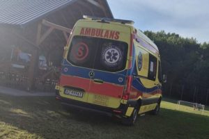 10-latek użądlony przez osę pod Rzeszowem. Potrzebna była natychmiastowa pomoc