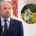 Gorący spór o rozrywkę kosztem zwierząt. Prezydent Rzeszowa chwali festyn, aktywiści mówią o cierpieniu