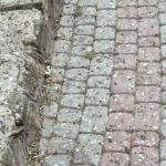 Gruba warstwa odchodów, smród i zamykane okna. Koszmar mieszkańców os. Pułaskiego i pat decyzyjny