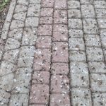 Kilkaset szpaków, brud i fetor. Rzeszowianie mają dość biernego czekania na decyzje