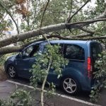 Krajobraz po nawałnicach. Strażacy interweniowali na Podkarpaciu ponad 80 razy