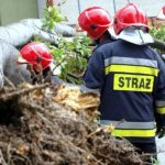 Nawałnice przeszły nad Podkarpaciem. Strażacy usuwają powalone drzewa i uszkodzone linie
