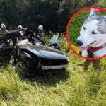 Poważny wypadek na DW 984 na Podkarpaciu. Samochód wjechał wprost pod ciężarówkę [ZDJĘCIA]