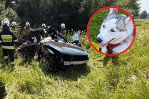 Poważny wypadek na DW 984 na Podkarpaciu. Samochód wjechał wprost pod ciężarówkę [ZDJĘCIA]