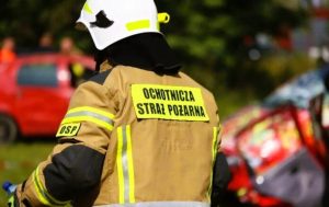 Pożar chlewni w regionie. Ewakuowano zwierzęta