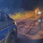 W nocy wędrowali po górach. Zgubili się, chowając przed zwierzęciem