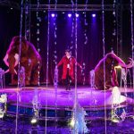 Do Rzeszowa przyjeżdża niezwykłe widowisko – Cyrk na wodzie Imperial Show
