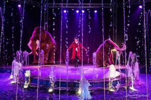 Do Rzeszowa przyjeżdża niezwykłe widowisko – Cyrk na wodzie Imperial Show
