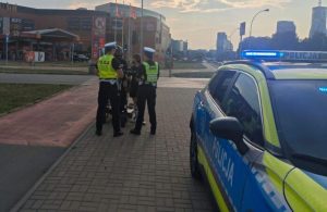 Kilkadziesiąt osób, seria wykroczeń i sprawy w sądzie. Policyjna akcja w Rzeszowie z hulajnogami w tle [ZDJĘCIA]