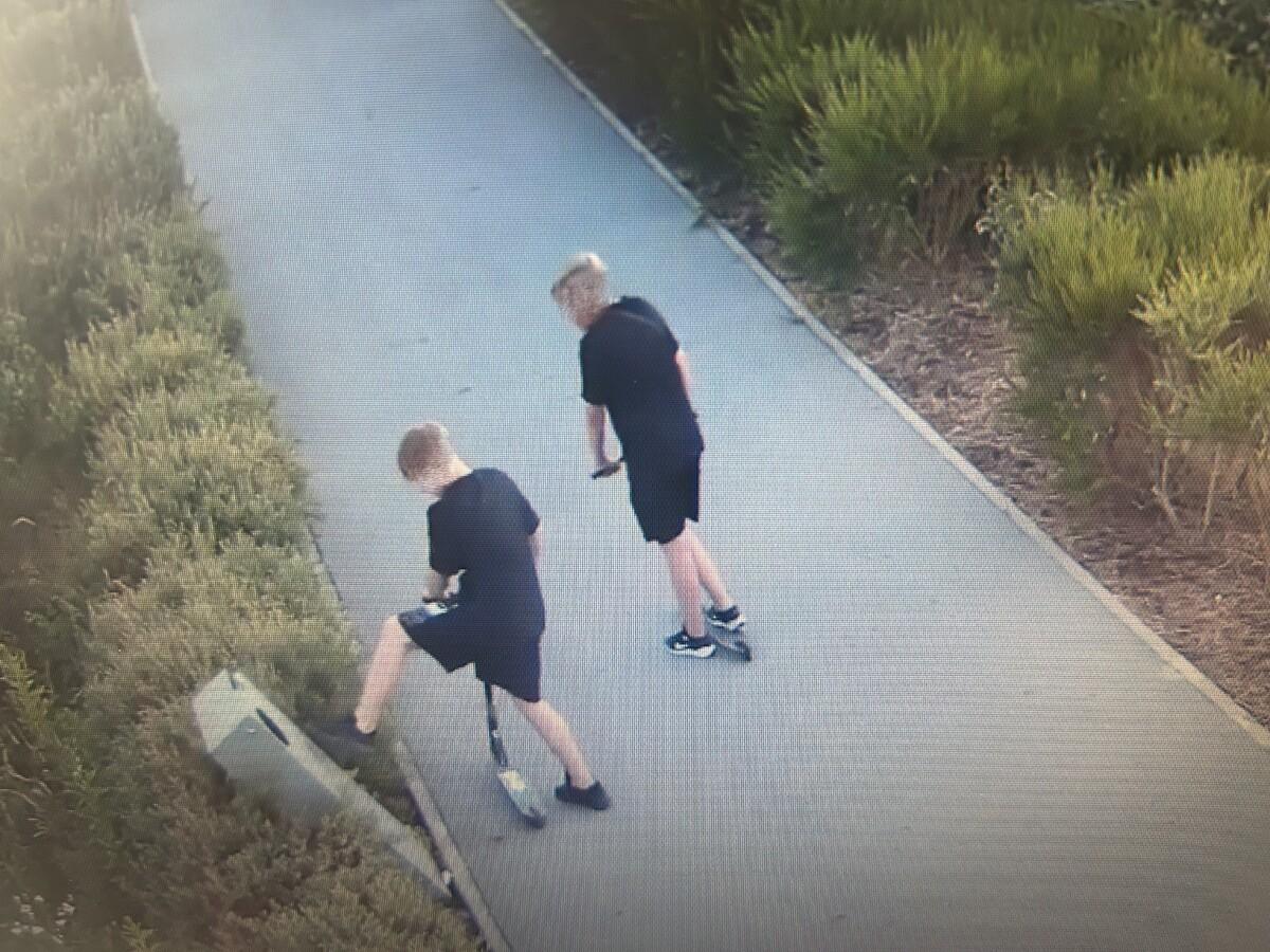 młodociany wandal w akcji stalowa wola