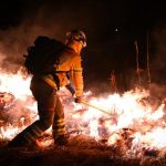 Mnóstwo pożarów od początku wakacji. Strażacy wyjeżdżali co 18 minut