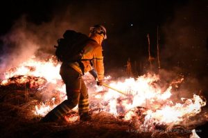 Mnóstwo pożarów od początku wakacji. Strażacy wyjeżdżali co 18 minut