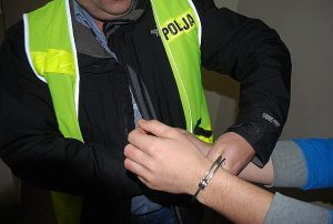 Narkotykowa szajka na Podkarpaciu. Zatrzymano 11 osób