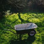 Oferta pracy: Osoba do utrzymywania czystości terenów zielonych w Rzeszowie