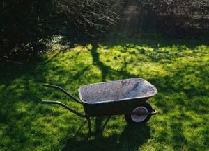 Oferta pracy: Osoba do utrzymywania czystości terenów zielonych w Rzeszowie