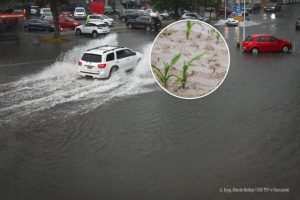 Podkarpacie wysycha. Jeden z największych deficytów wody w Polsce dotknie też mieszczuchów