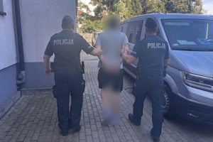 Seryjny podpalacz śmietników złapany. Groził świadkowi i znieważył policjantów [WIDEO]