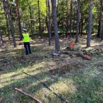 Tragiczne popołudnie. 32-letni motocyklista wypadł z drogi prosto w las