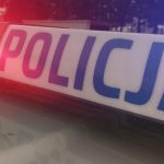 Tragiczny wypadek na Podkarpaciu. Auto wypadło z drogi, nie żyje 9-letnia dziewczynka