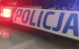 Tragiczny wypadek na Podkarpaciu. Auto wypadło z drogi, nie żyje 9-letnia dziewczynka