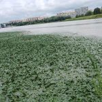 Odmulanie zalewu na Wisłoku. Inwestycja pochłonie miliony