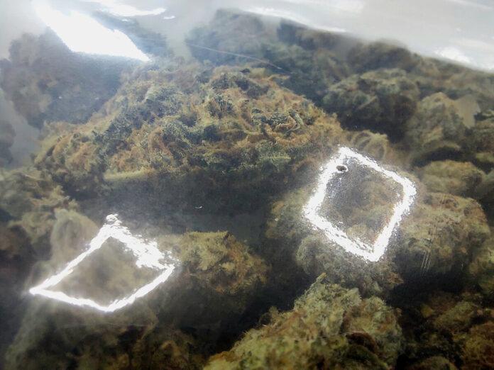 marihuana