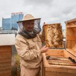 Trwa kiermasz naturalnych produktów w Galerii Rzeszów. Rzeszowskie Miodobranie w sercu miasta