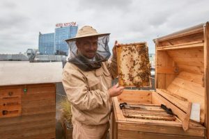 Trwa kiermasz naturalnych produktów w Galerii Rzeszów. Rzeszowskie Miodobranie w sercu miasta