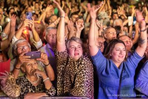 Wystawy, spotkania literackie i festiwale. Przed nami tydzień pełen atrakcji w Rzeszowie
