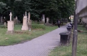Alkohol na Starym Cmentarzu, ściana zabytkowej świątyni jak toaleta. „To jakaś plaga” Stary Cmentarz Rzeszów: Libacje i profanacja | Rzeszów News