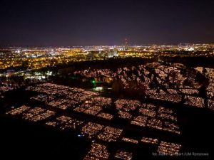 Meleksy na Cmentarzu Wilkowyja. Harmonogram kursów i trasa